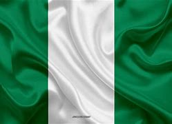  A picture of Nigeria Flag